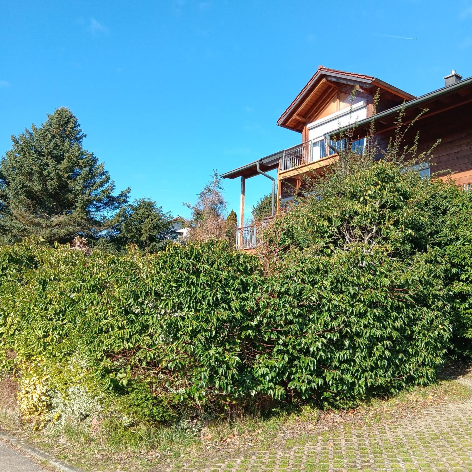 Gartenapartment Auf Der Hoeri In Wangen Энинген Экстерьер фото
