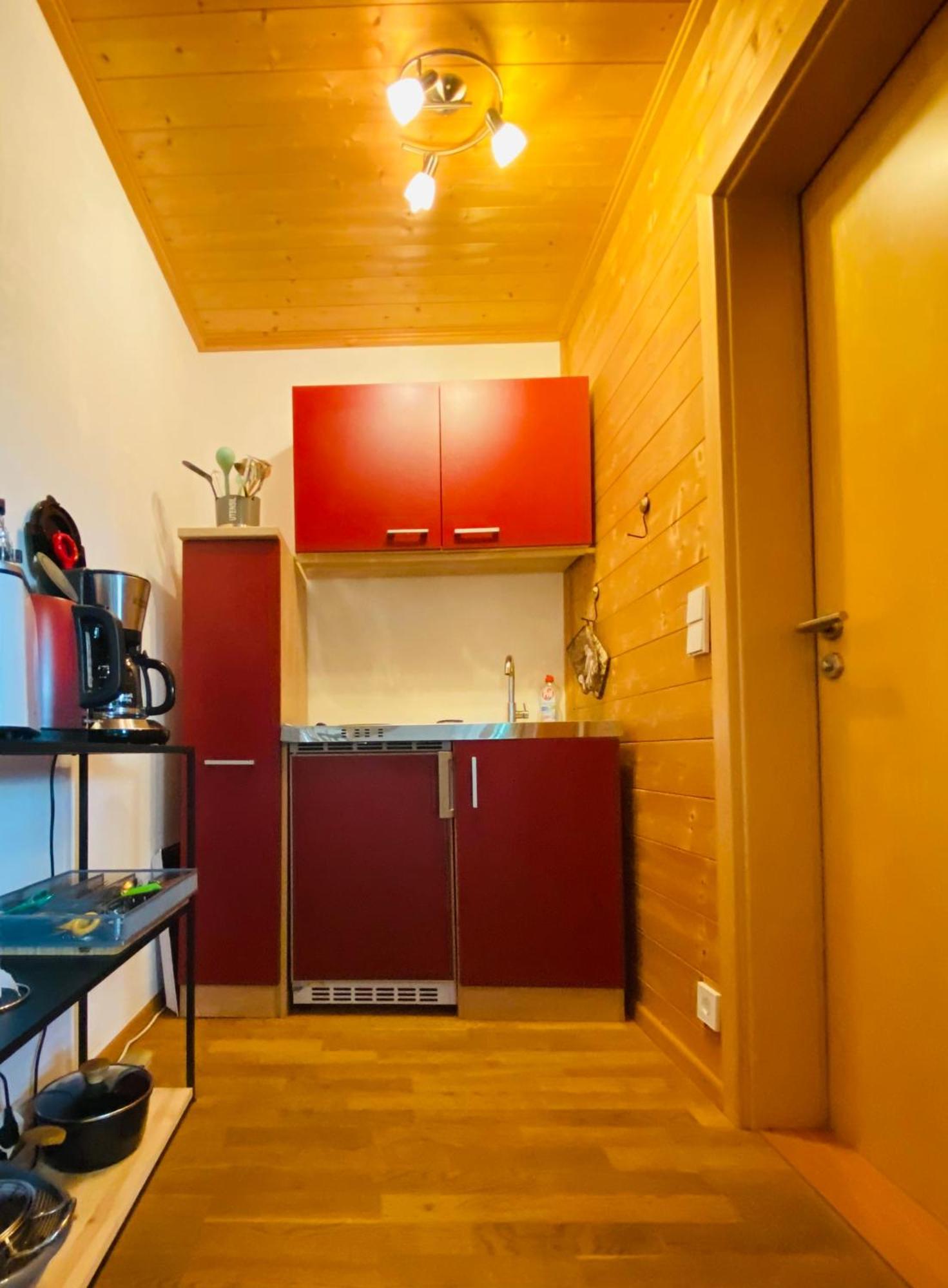 Gartenapartment Auf Der Hoeri In Wangen Энинген Экстерьер фото